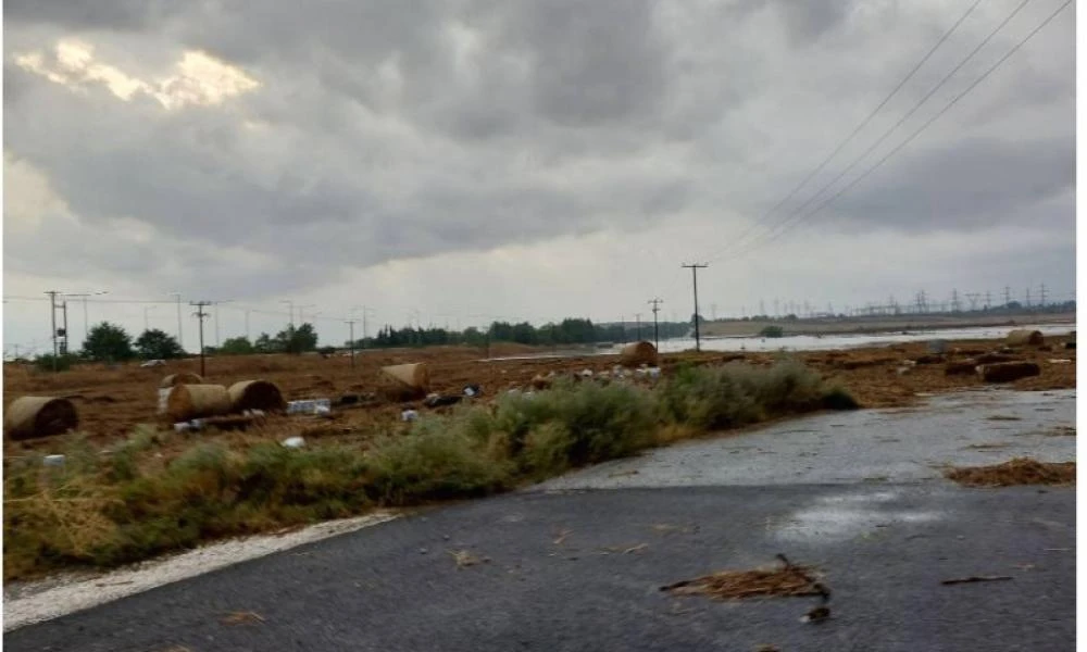 Λάρισα: Αγνοείται βοσκός στην περιοχή της Νέας Λεύκης